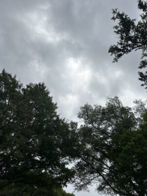 An overcast sky where the sun is not visible